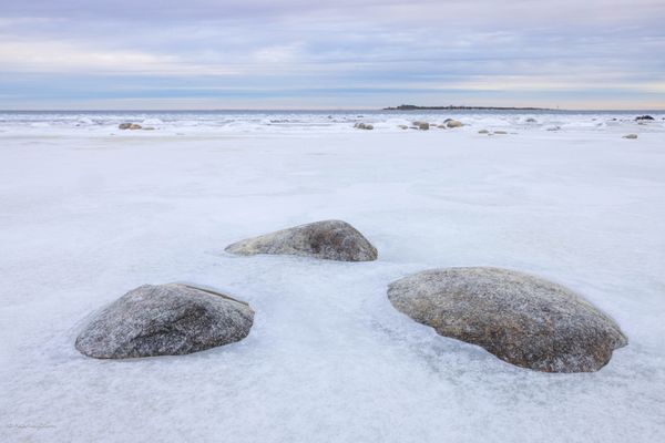 Foto van Peter van Roon