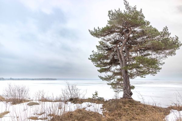 Foto van Peter van Roon