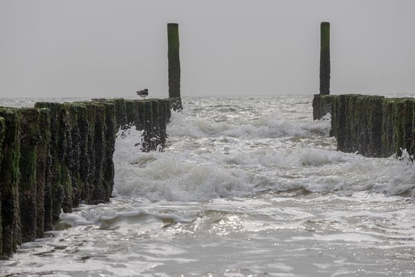 Foto van Heleen Hoogenboezem