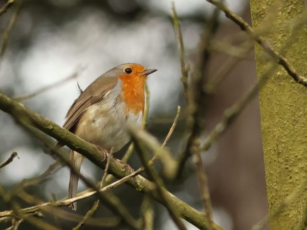 Foto van Gert-Jan Boer