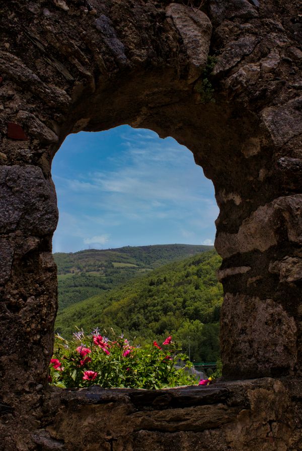 Foto van Donald Willemsen