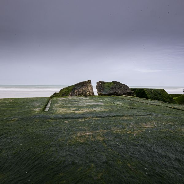 Foto van Ronny Wygers