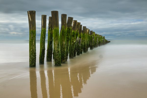 Foto van Ronny Wygers