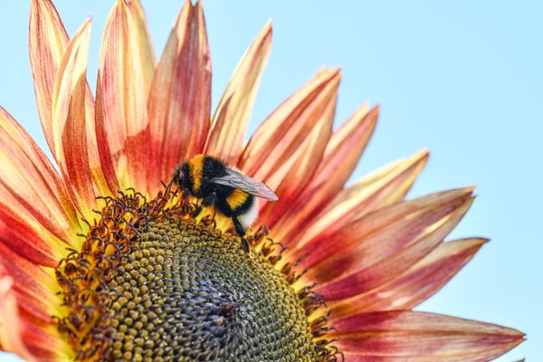 Foto van Ronny Wygers