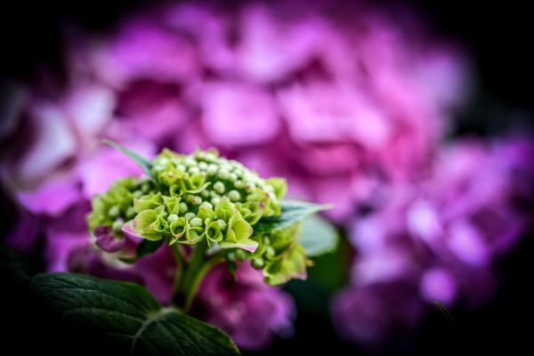 Foto van Ronny Wygers