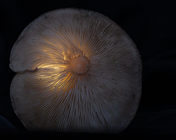 Foto van Ronny Wygers