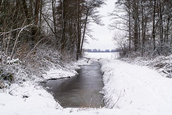 Foto van Cees v.d. Coevering