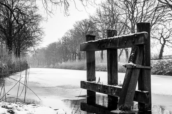 Foto van Cees v.d. Coevering