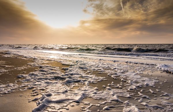 Foto van Cees v.d. Coevering