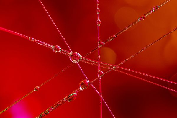 Foto van Cees v.d. Coevering