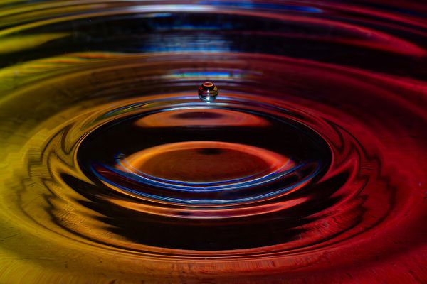 Foto van Cees v.d. Coevering