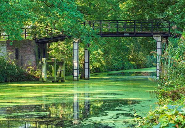 Foto van Cees v.d. Coevering