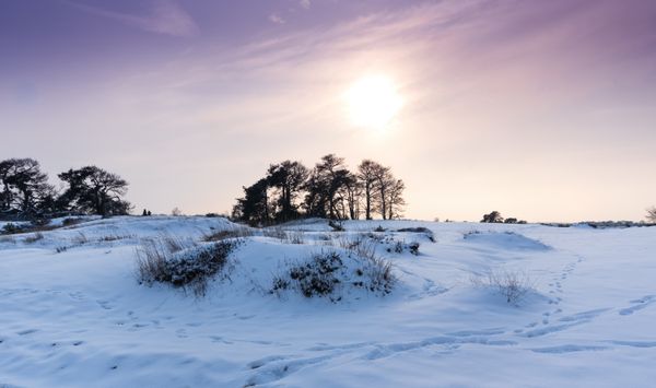 Foto van Cees v.d. Coevering